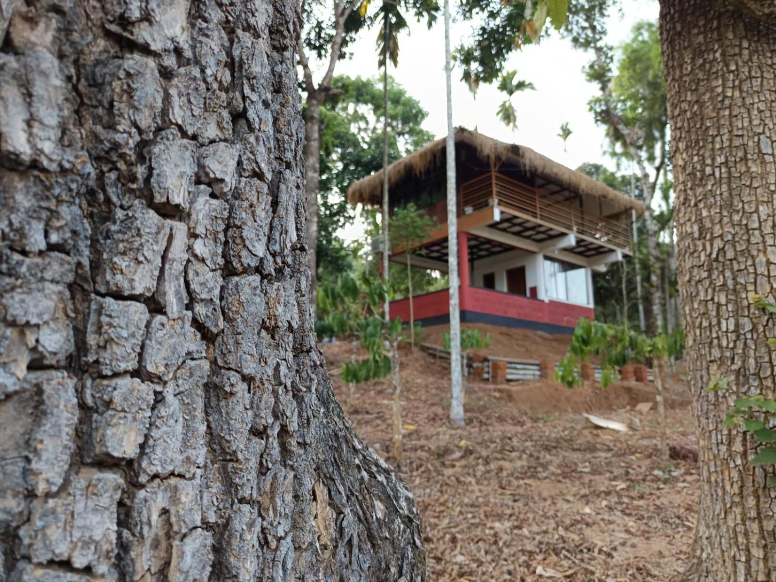 Kuruva Shoreline Wayanad Chegāt Exterior foto